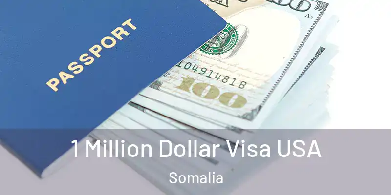 1 Million Dollar Visa USA Somalia