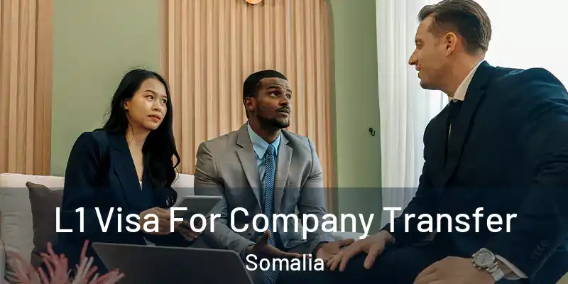 L1 Visa For Company Transfer Somalia