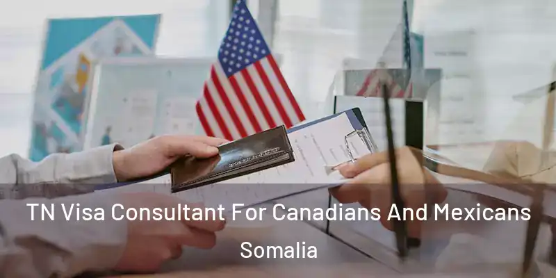 TN Visa Consultant For Canadians And Mexicans Somalia