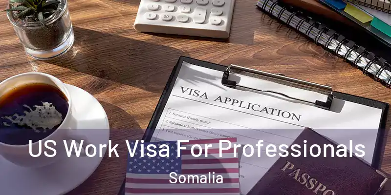 US Work Visa For Professionals Somalia